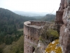 dahn-2012-015