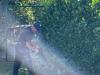 IMG-20240921-WA0022
