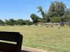 IMG-20250622-WA0012