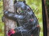 dahn-2015dsc_0041_5945