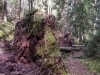 IMG-20180403-WA0017