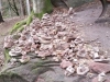20160327_151129
